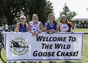 Wild Goose Chase 2019