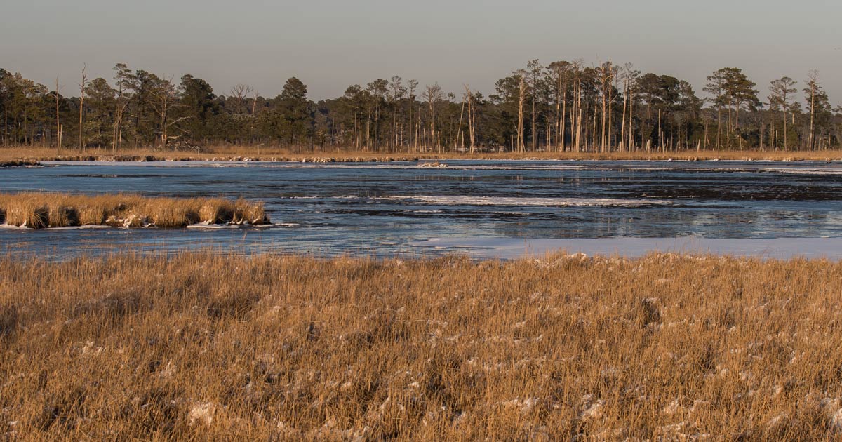 Event Calendar | Friends Of Blackwater NWR