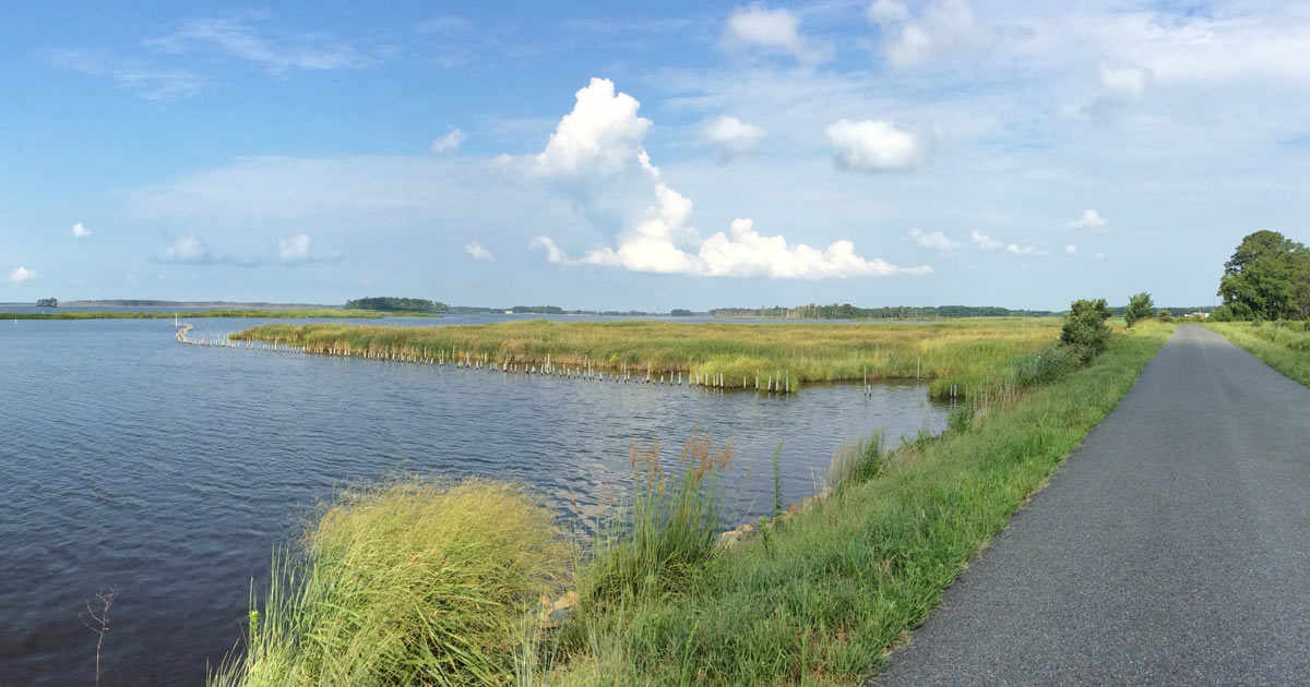 Wildlife Drive | Friends Of Blackwater NWR