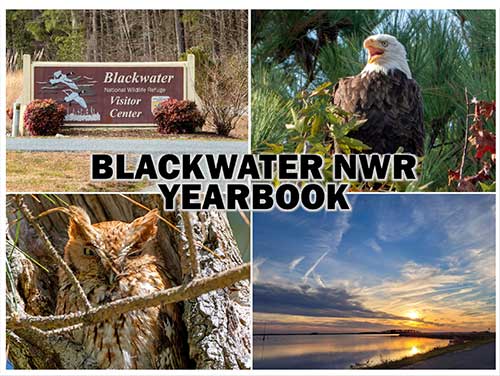 Blackwater NWR Yearbook cover